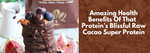 Amazing Health Benefits Of That  Protein’s Blissful Raw Cacao Super Protein
