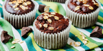 Vegan Chocolate Protein Muffins