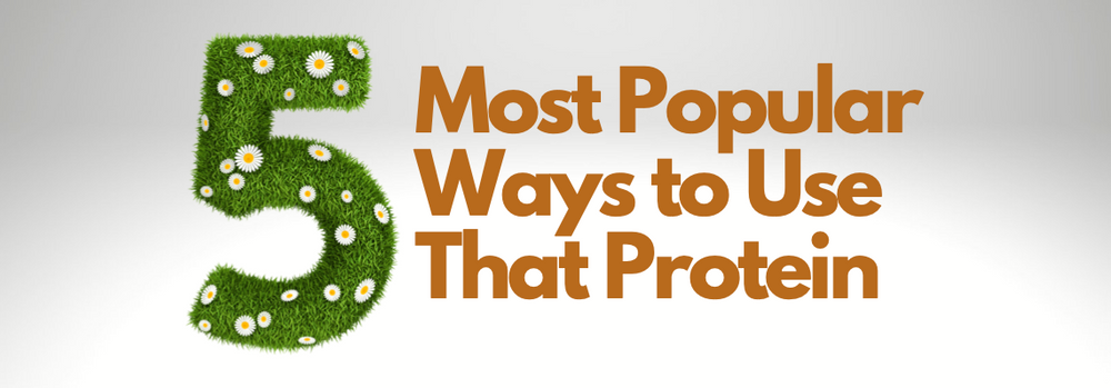 Five of the most popular ways to use that protein